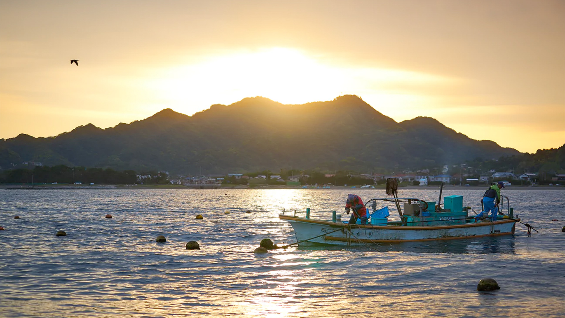 六左衛門イメージ