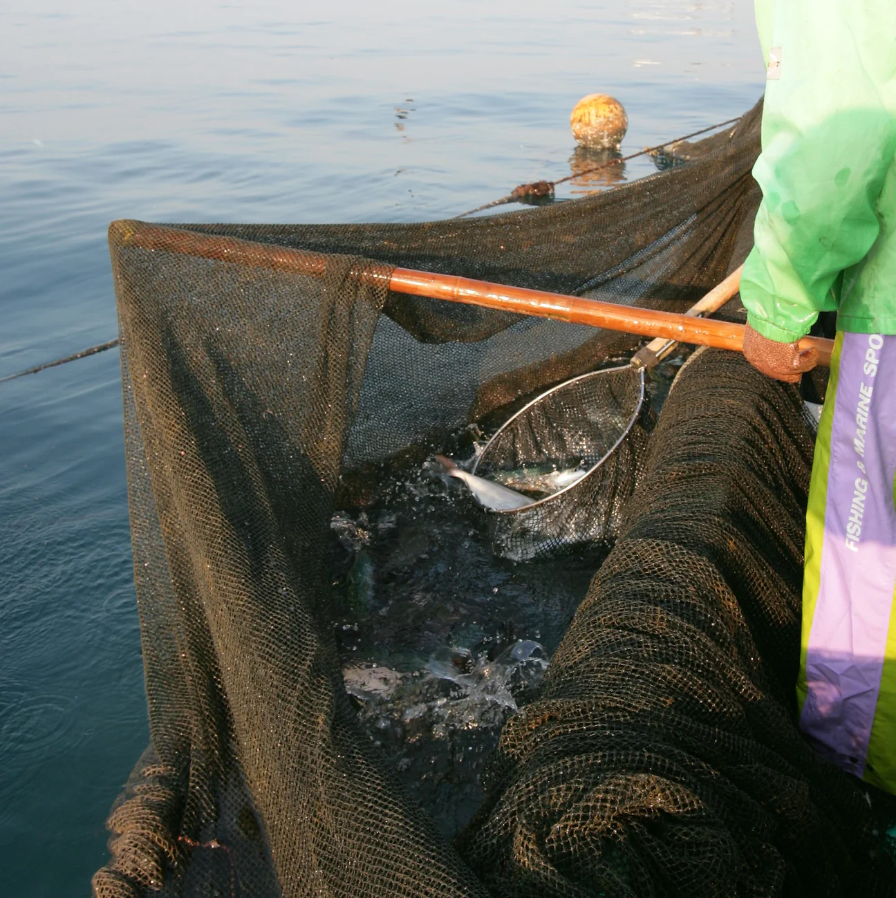 211_acccda7b-8591-4d99-ac2f-467ad05e3651_1296x