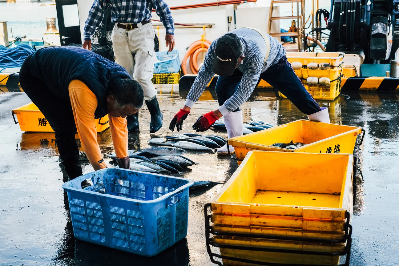 DSCF3385_b065f131-e3eb-4f8a-abaf-66a23d9444c3_1296x